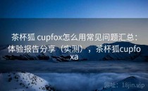茶杯狐 cupfox怎么用常见问题汇总：体验报告分享（实测），茶杯狐cupfoxa