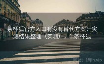 茶杯狐官方入口有没有替代方案：实测结果整理（实测），1.茶杯狐