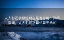 人人影视字幕组现在是否可用：详细指南，人人影视字幕组是干啥的