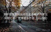 茶杯狐官方网站现在能不能访问常见问题汇总：效率提升方法（2025版）