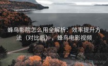 蜂鸟影院怎么用全解析：效率提升方法（对比后），蜂鸟电影视频