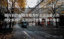 蜂鸟影院在线观看为什么这么多人在用全解析：实用技巧合集，蜂鸟电影视频