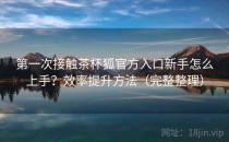 第一次接触茶杯狐官方入口新手怎么上手？效率提升方法（完整整理）
