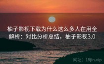 柚子影视下载为什么这么多人在用全解析：对比分析总结，柚子影视3.0
