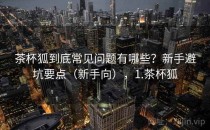 茶杯狐到底常见问题有哪些？新手避坑要点（新手向），1.茶杯狐
