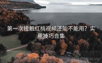 第一次接触红桃视频还能不能用？实用技巧合集