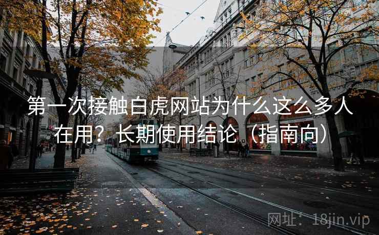 第一次接触白虎网站为什么这么多人在用?长期使用结论(指南向) 第1张 第一次接触白虎网站为什么这么多人在用?长期使用结论(指南向) 第1张