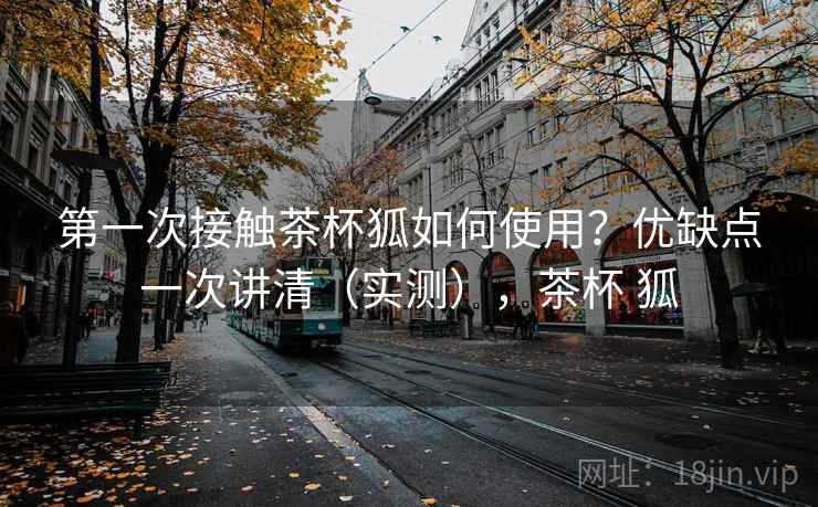 第一次接触茶杯狐如何使用？优缺点一次讲清（实测），茶杯 狐  第2张