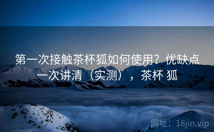 第一次接触茶杯狐如何使用？优缺点一次讲清（实测），茶杯 狐  第1张